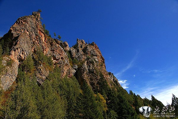 则岔石林风光