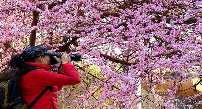 兰州  市民踏青赏花 春意盎然