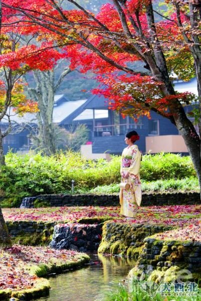 身着传统和服的女孩为唯美的虹夕诺雅 轻井泽更添一缕梦幻色彩。