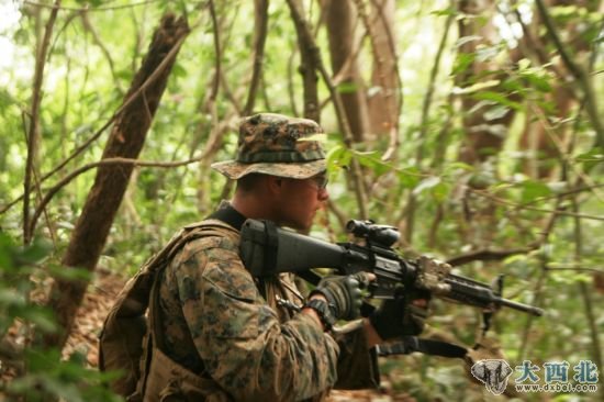 资料图：美海军陆战队士兵在泰国热带丛林里搜索前进。