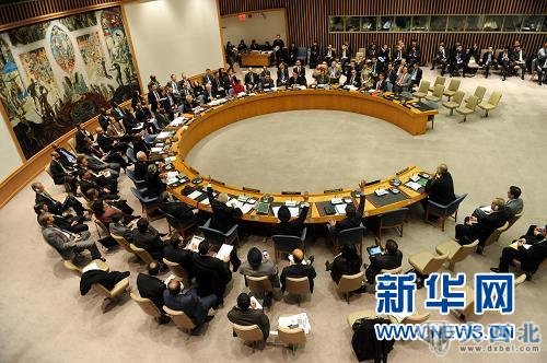 2月4日，联合国安理会就叙利亚问题决议草案进行表决，俄罗斯和中国投了否决票，决议未获通过。新华社记者申宏摄