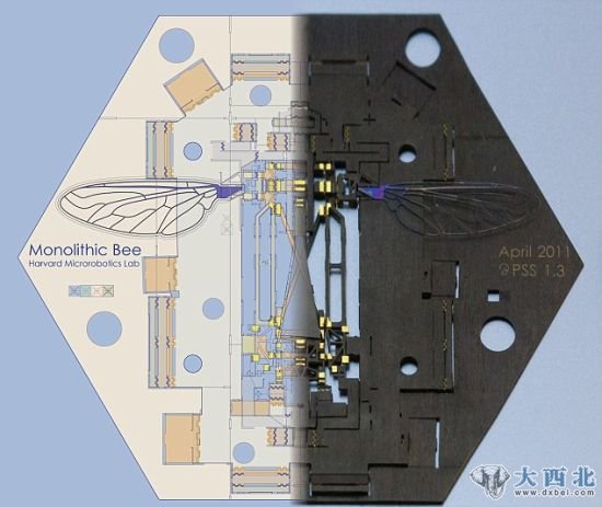 哈佛微型机器人实验室多年来一直致力于研制原型机器昆虫，此前的机器昆虫必须手工制造和组装