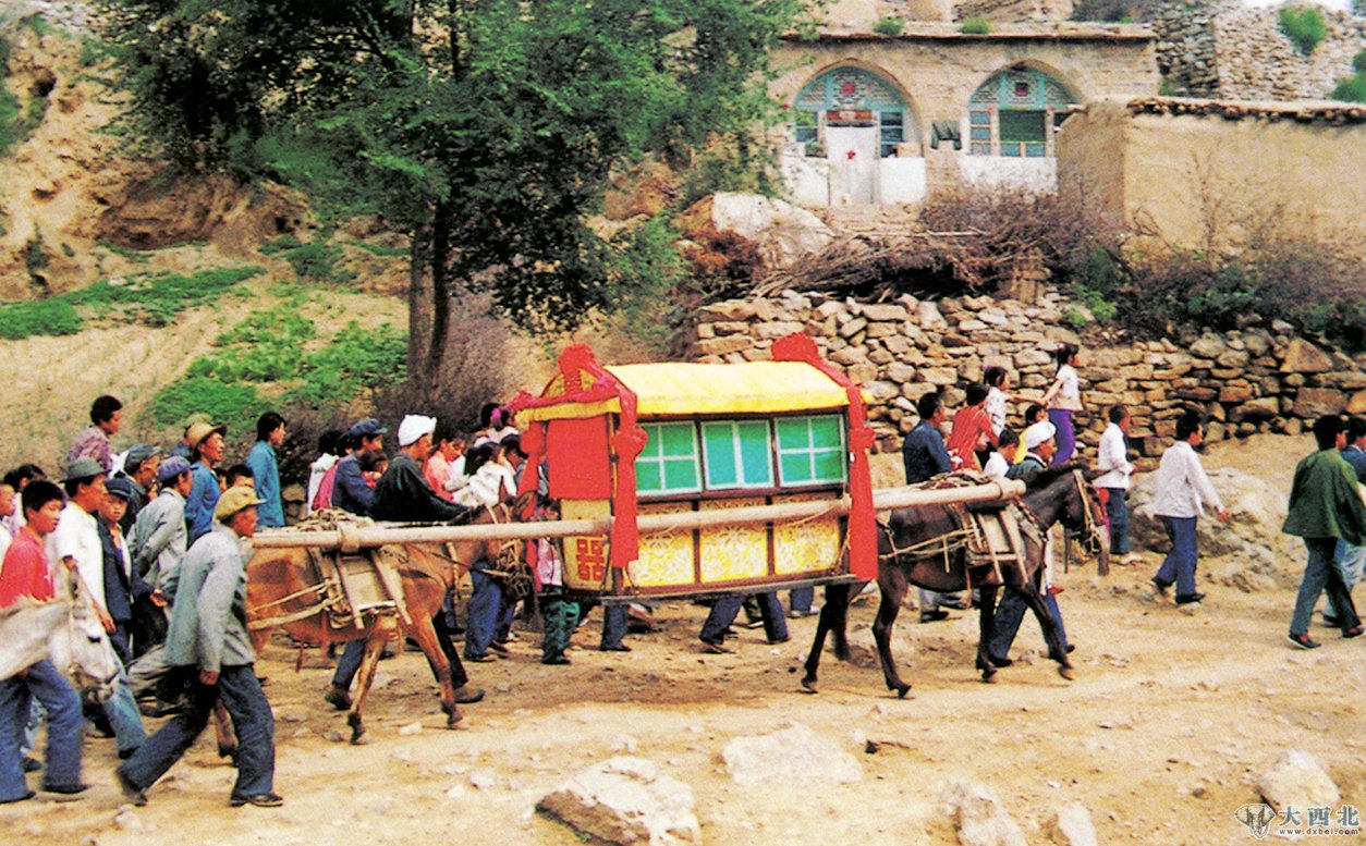 西部人文地理：漫话驮轿