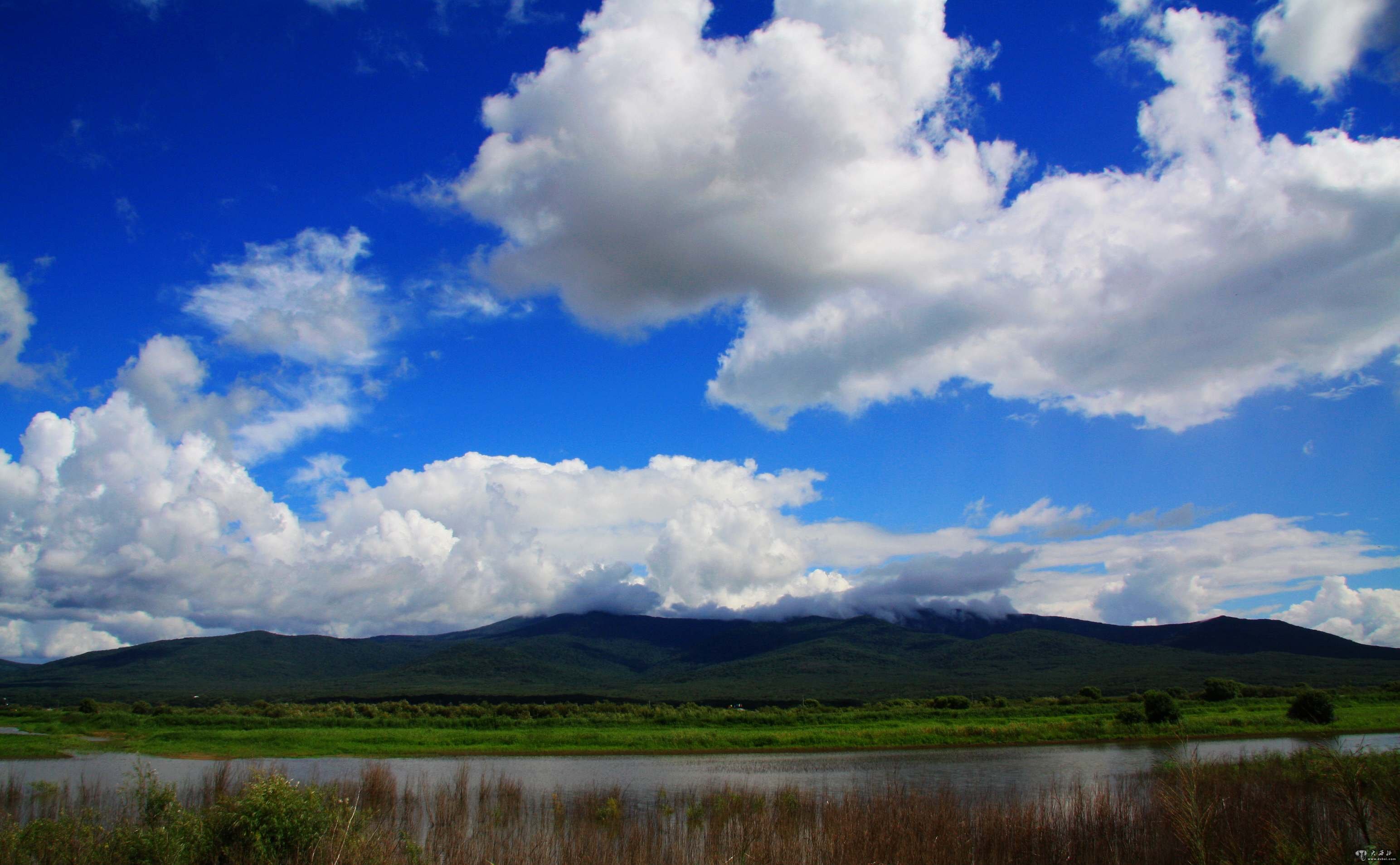 黑瞎子岛