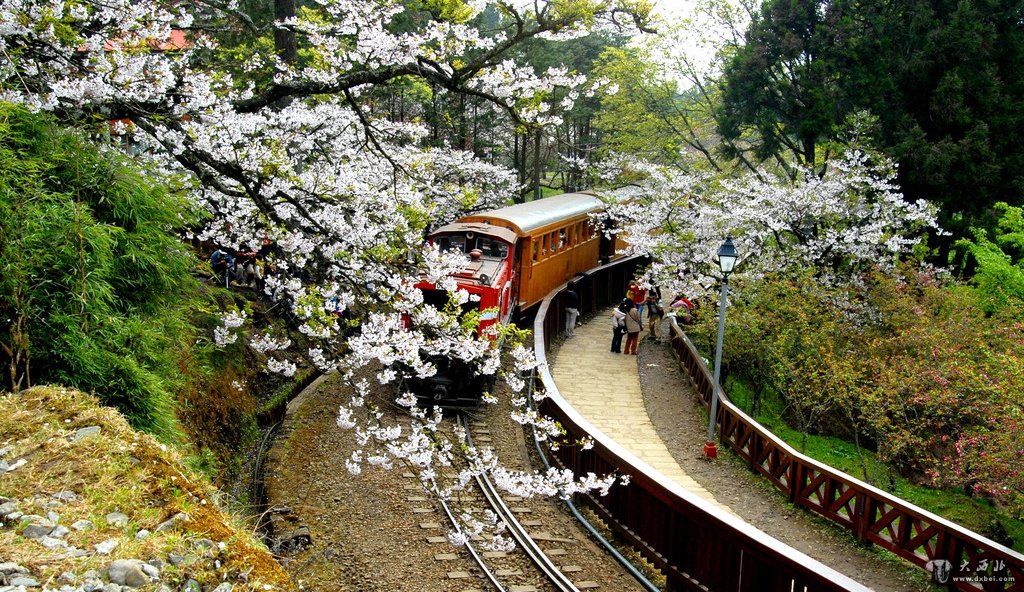 阿里山