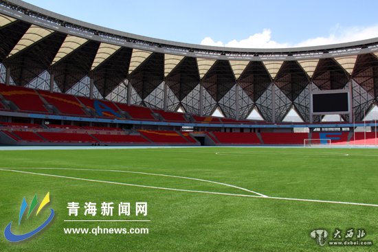 国际足联(FIFA)二星认证的人工草坪，被国际足联评定为2星级球场