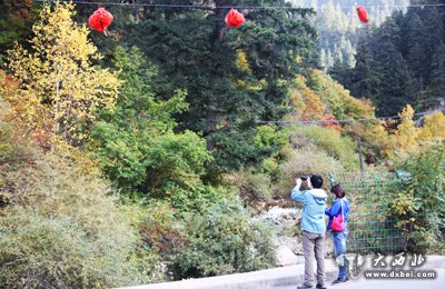 “红叶”撬动榆中旅游