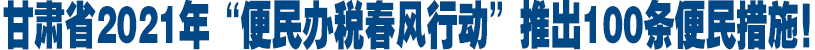 甘肃省2021年“便民办税